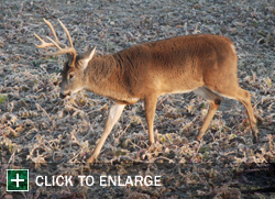 Conservation Gallery Photo 8 2010
