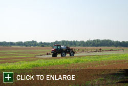 Farm Gallery Photo 1