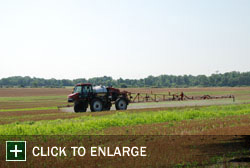 Farm Gallery Photo 1