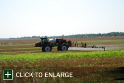 Farm Gallery Photo 1