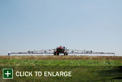 Farm Gallery Photo 1