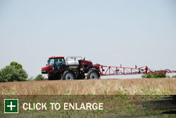Farm Gallery Photo 1