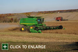 Farm Gallery Photo 1