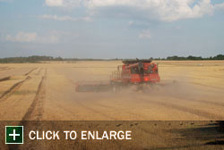 Farm Gallery Photo 1