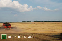 Farm Gallery Photo 1