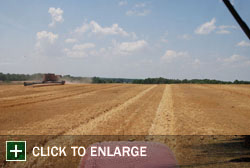 Farm Gallery Photo 1