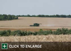Farm Gallery Photo 1