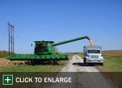 Farm Gallery Photo 14