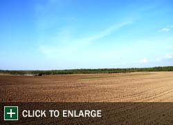 Farm Gallery Photo 16