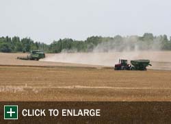 Farm Gallery Photo 2