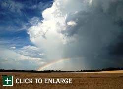 Farm Gallery Photo 3