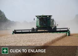 Farm Gallery Photo 4
