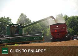 Farm Gallery Photo 5