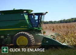 Farm Gallery Photo 7