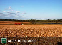 Farm Gallery Photo 8