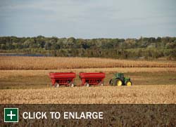 Farm Gallery Photo 9